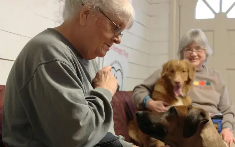 Séance de zoothérapie à domicile avec un chien pour le bien-être et la stimulation d'une personne âgée