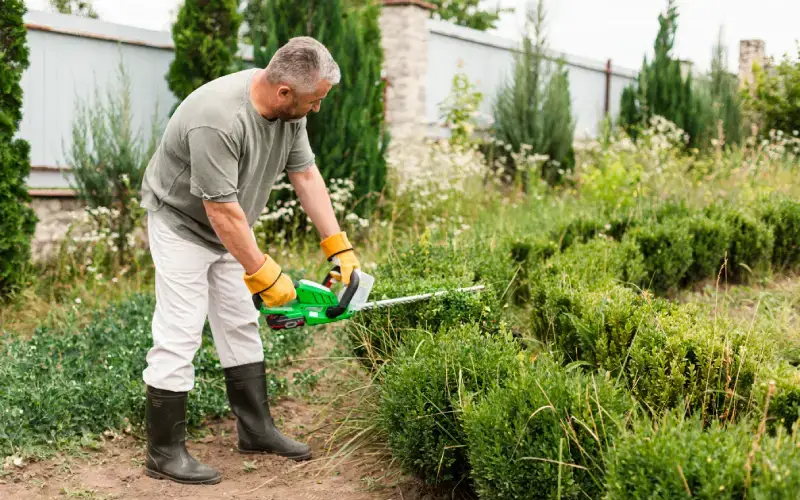 Désherbage et entretien de massifs de fleurs pour seniors