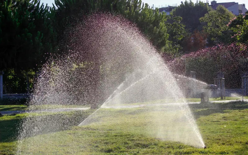 Installation et réglage d'arrosage automatique de jardin