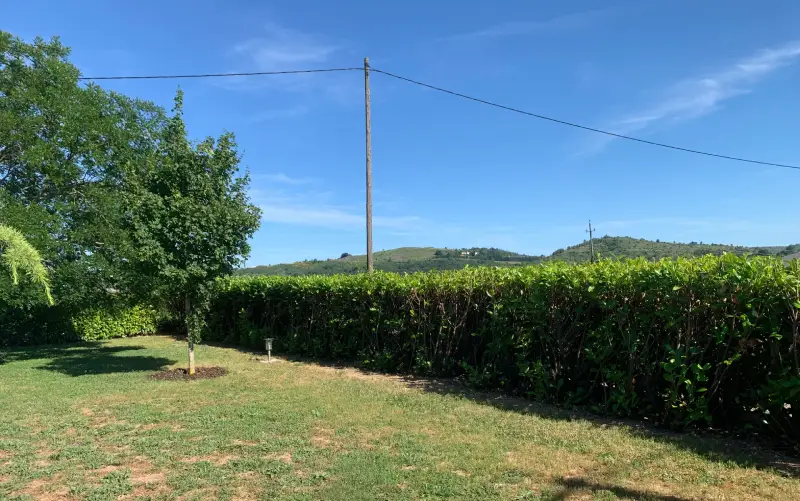 Des haies bien taillées