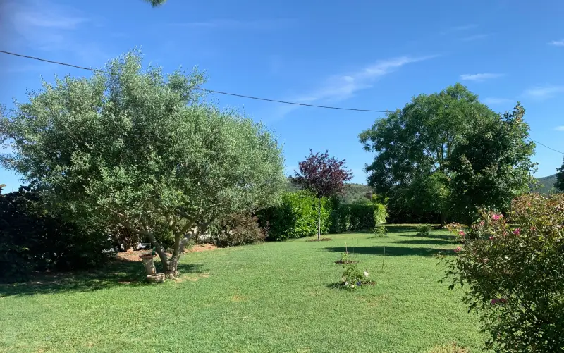 entretien jardin Tondre la pelouse